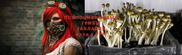дмт Алексин