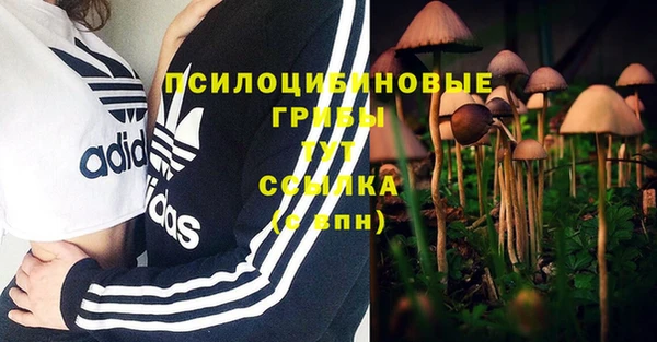 дмт Алексин