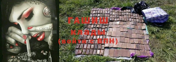 дмт Алексин