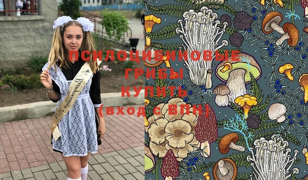 круглые Алзамай