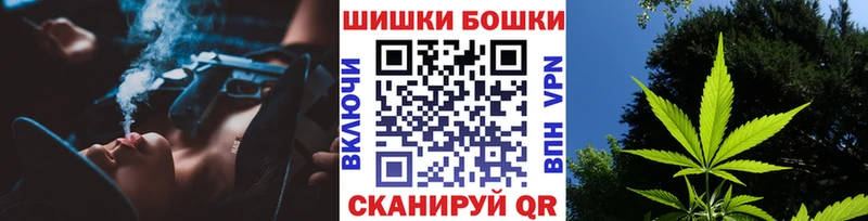Каннабис OG Kush  darknet наркотические препараты  Николаевск 